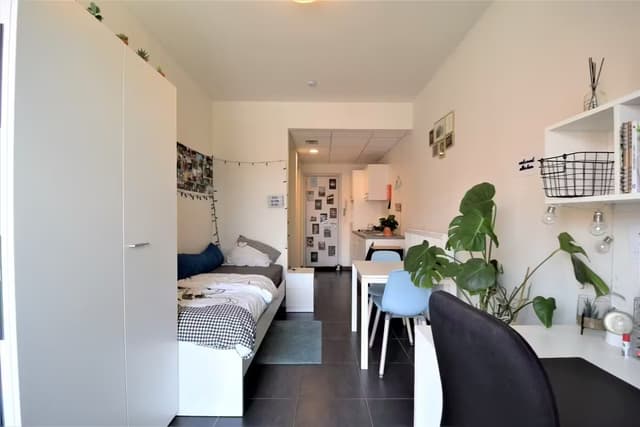 Comfortabele studentenkamer vlakbij het centrum