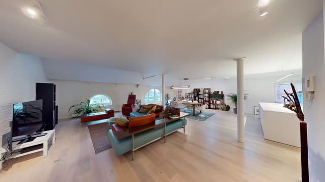 Ruime penthouse loft aan 't Eilandje