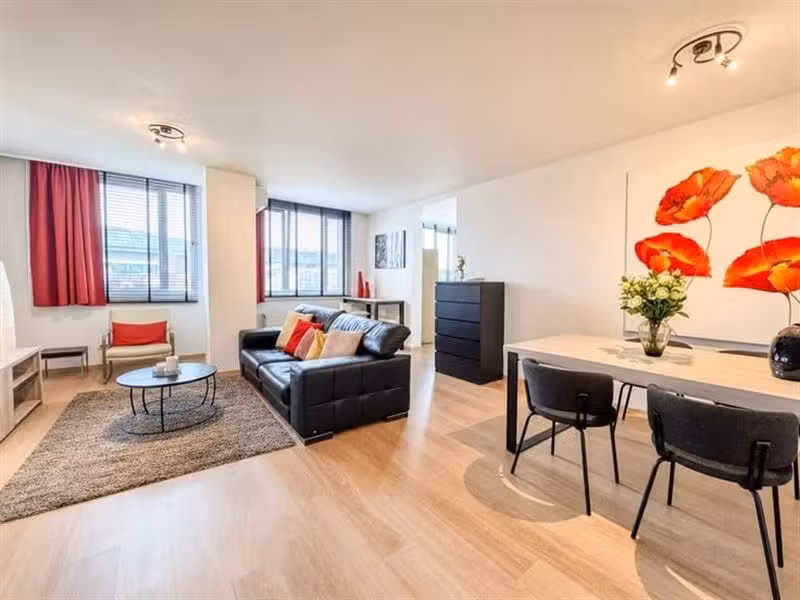 Downtown! Beautiful bright furnished apartment 1 bedroom