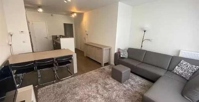Centre ville - appartement meublé 2 chambres