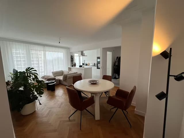 Gerenoveerd 2-slaapkamerappartement met zonnig terras in Berchem