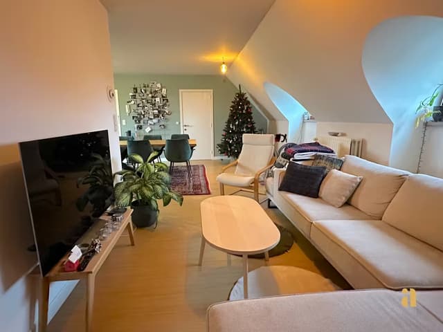 Ruime en charmant dakappartement met groot terras