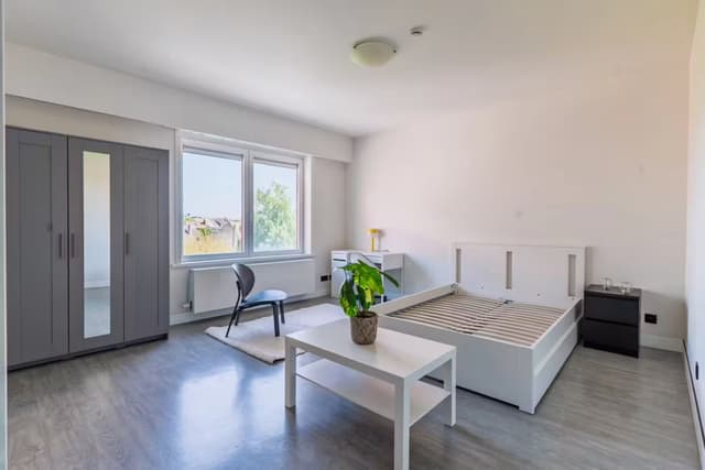 Gerenoveerde studentenkamers & studio's