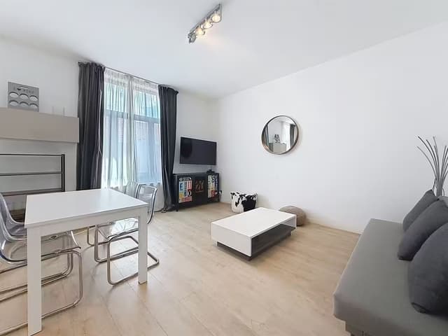 Schitterend gemeubileerd 1 slaapkamer appartement Gare du Midi