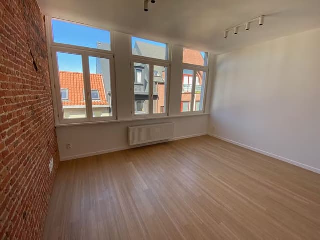 Recent gerenoveerd 1 slaapkamer appartement in Antwerpen