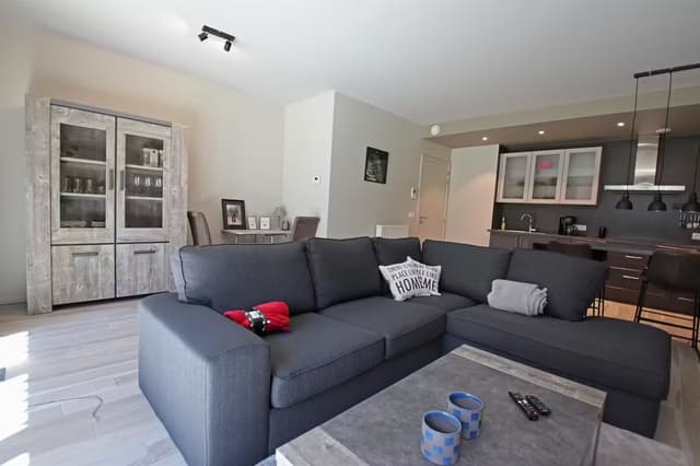 Recent en volledig gemeubileerd appartement in Anderlecht