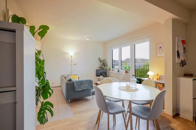 Gezellig appartement met 1 slaapkamer te centrum Gent