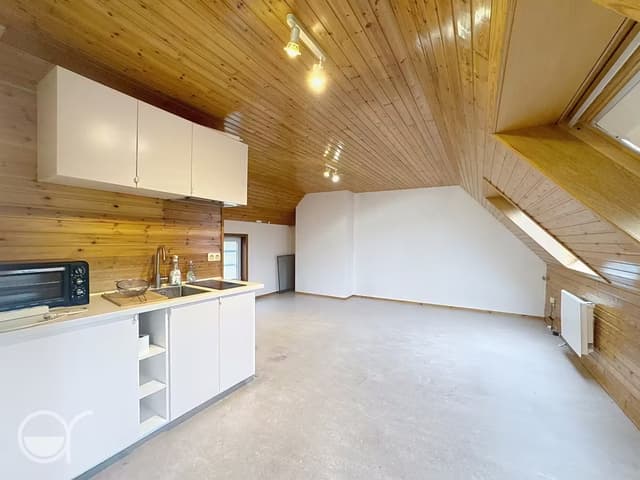 Ruime studentenstudio in het centrum van Gent