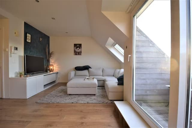 Duplex-appartement met 1 slaapkamer, omgeving Ring
