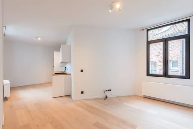 Gerenoveerd 1-slaapkamerappartement met gemeenschappelijke tuin