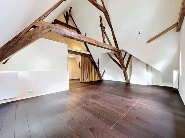 Lichtrijke woning in het hart van Gent