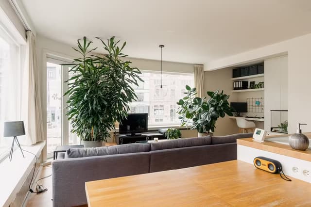 Een licht hoekappartement op 't Eilandje